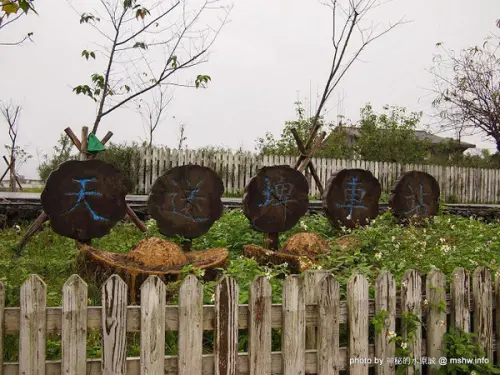 【景點】宜蘭三星-天送埤火車站 : 幸福真的會在下一站嗎？              