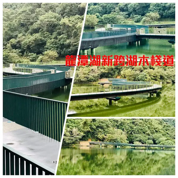 宜蘭龍潭湖|新跨湖木棧道|穿越湖中央景觀步道|完善環湖步道360度環景|隱藏版的落羽松森林|宜蘭最佳休閒去處