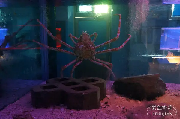 ▋宜蘭旅遊▋頭城休閒旅遊達人來帶路~北關農場-令人驚豔的螃蟹王國