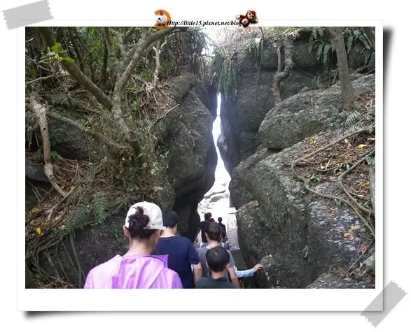 海洋生物多樣性教育推廣活動