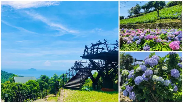 圓圓家出去玩-<新北坪林>北宜公路制高點，石牌縣界公園，繡球花正滿開，跨一步就到宜蘭，還能遠眺蘭陽平原、龜山島