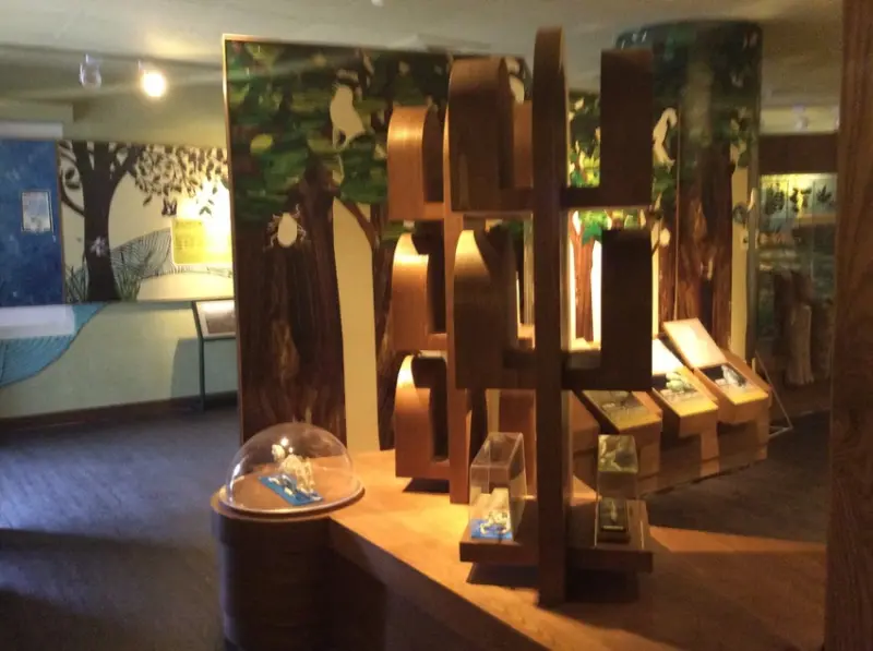  宜蘭景點[冬山森林生態館]中壢社大周四趴趴走-春遊拾趣