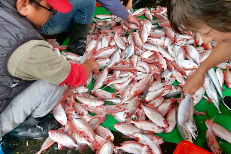 海、漁港風情系列：宜蘭頭城「大溪漁港」（五）