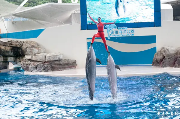 宜蘭花蓮放肆遊day2 花蓮遠雄海洋公園的奇幻旅程