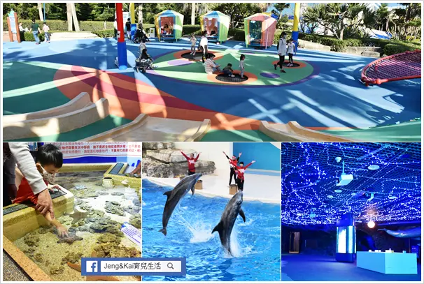 花蓮 | 壽豐 - 花蓮遠雄海洋公園～全新海洋劇場.2021海獅巡警隊.繽紛水母區.生態觸摸池.星空海底世界.歡樂遊樂園