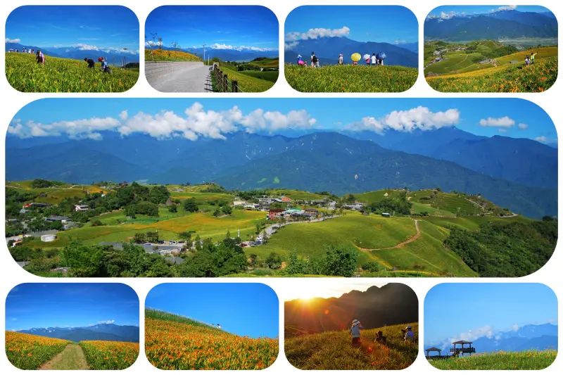  雲端上漫舞 * 花蓮 . 六十石山金針花季 ( 2013 )