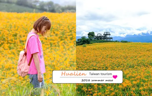 花蓮六十石山金針花季2018，花都開好囉～