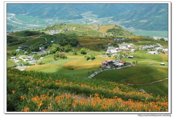 ☆花蓮☆六十石山像一幅金針花海圖，小瑞士之名不是臭蓋的，超美的黃色地毯