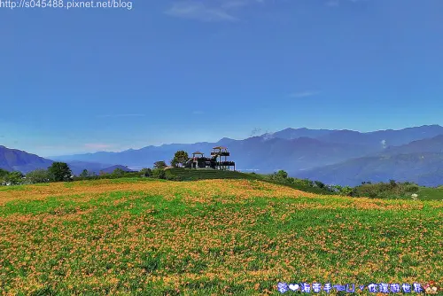 【花蓮旅遊】2014年六十石山金針花♥爆肝也要前往!!一張張如明信片般動人的美景就在眼前~