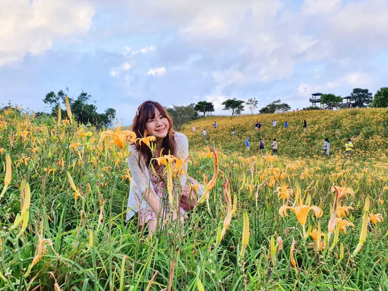 【花蓮富里】六十石山金針花海 漫步在雲端 遇見耶穌光