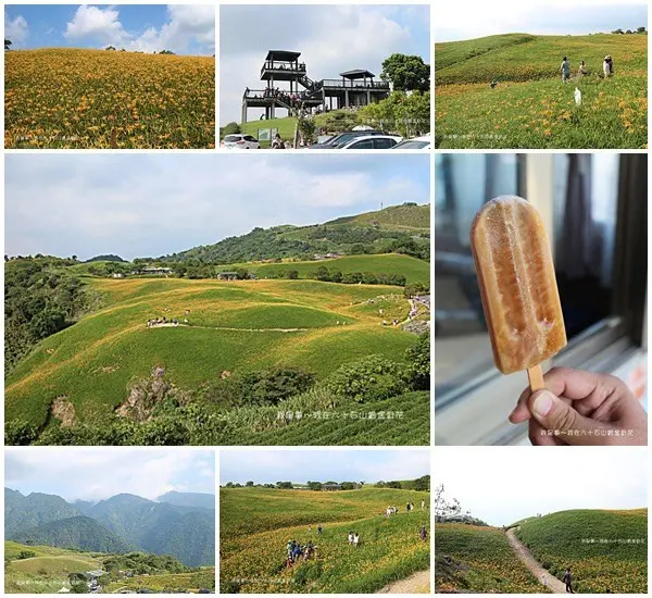 『花蓮。六十石山金針花海』～交通管制資訊／季節限定／浪漫滿山