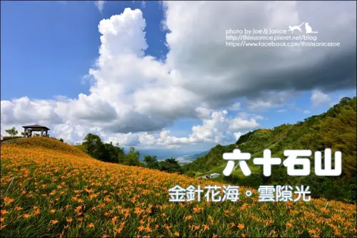 隨拍°花蓮富里 -《 六十石山 - 金針花海。雲隙光 》 (2014/09/03拍攝)