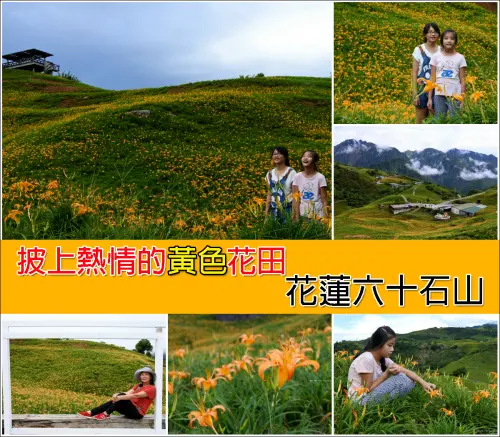 【花蓮縣。富里鄉】被熱情的黃色花海包圍的山中仙境@六十石山金針花季