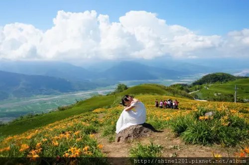 【花蓮金針花季】六十石山金黃色花海.分享金針花套餐&交通路線