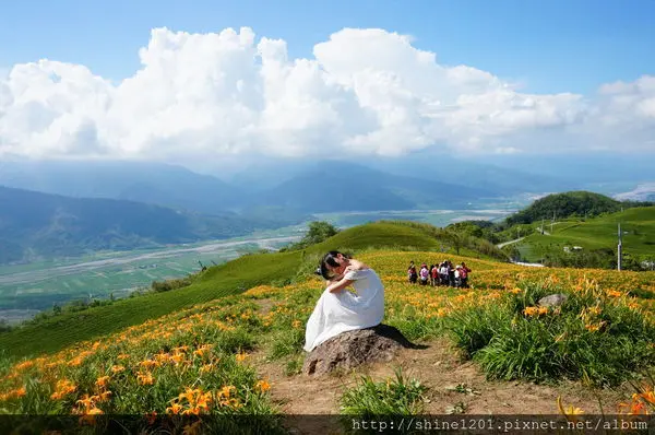 【花蓮金針花季】六十石山金黃色花海.分享金針花套餐&交通路線