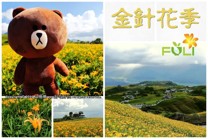 【遊||花蓮】一生一定要來感動一次的無敵美景～花蓮六十石山金針花季最新花況！
