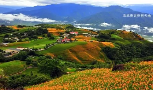 【富里 / 賞花 】2018金針花季。六十石山 - 台灣小瑞士