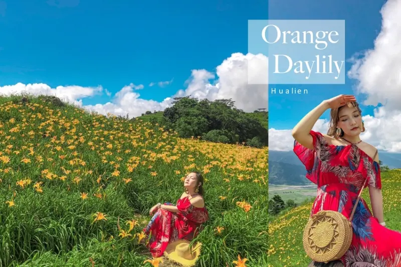 2019花蓮金針花｜六十石山金針花| 交通花況拍照懶人包 | 秘密女孩 Viki