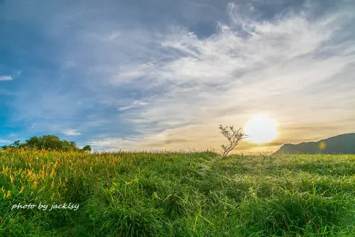 200919花蓮-六十石山金針花海