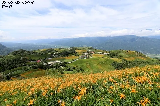2020夏戀花蓮第二天｜玉里新興街燒餅店｜六十石山金針花海｜964驛站｜台灣小瑞士｜2020赤科山金針花海｜赤柯山小瑞士農場｜赤科山林家園休閒農場｜小和山谷｜花蓮福品旅店｜東大門夜市｜原醉（東大門原住