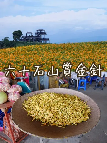 【花蓮遊記】六十石山金針花季~與赤科山齊名花蓮兩大賞金針好去處