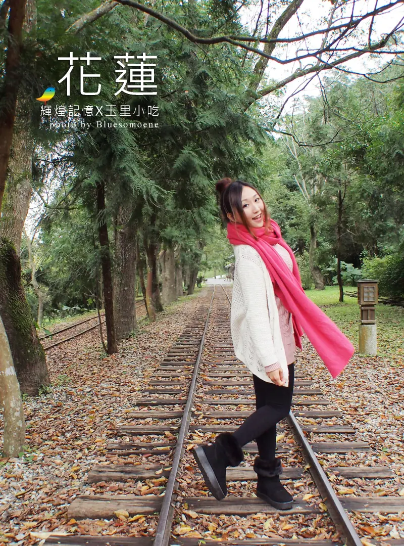 花蓮旅記：山間輝煌記憶，林田山林場