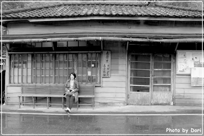 〈台灣東部〉花蓮萬榮鄉。林場中的摩里沙卡 @林田山林業文化園區