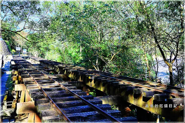 【花蓮】鳳林鎮。林田山林業文化園區        
      