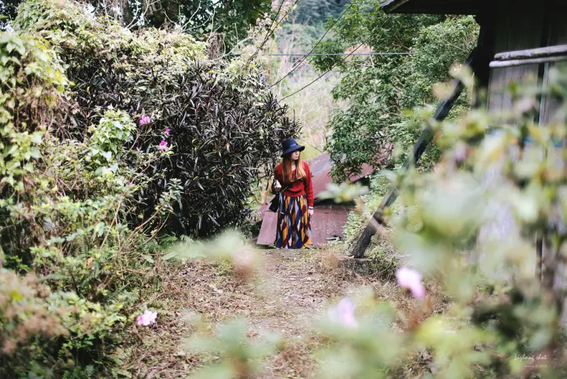 花蓮兩日的玩耍昏睡之旅/01 林田山健走行程#上