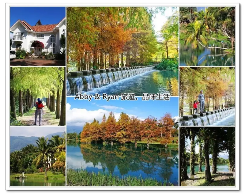 【花蓮壽豐落羽松】雲山水/夢幻湖~落羽松森林太震撼了！花蓮必遊落羽松景點 ～