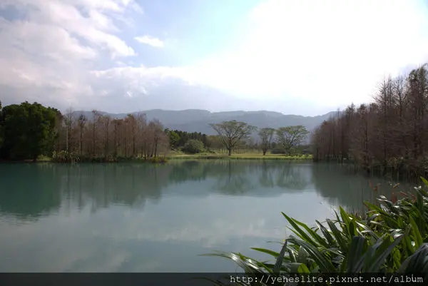 拿鐵的花蓮山水飄流之旅 三章 雲山水 落羽松伴著碧綠色湖泊 無聲的白雲蕩漾在飄渺的群山中