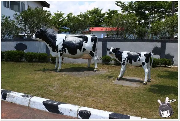 [遊記+食記]►花蓮瑞穗◄吉蒸牧場-吉蒸鮮奶火鍋／吉蒸鮮奶饅頭／吉蒸鮮奶酪／可愛動物園區／親子旅遊好去處        
      