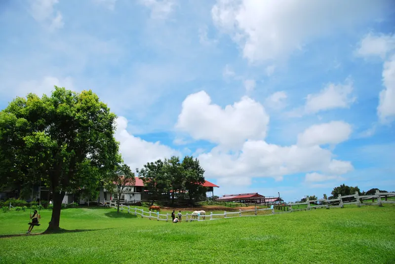 我是一片雲 * 台東卑南 . 初鹿牧場