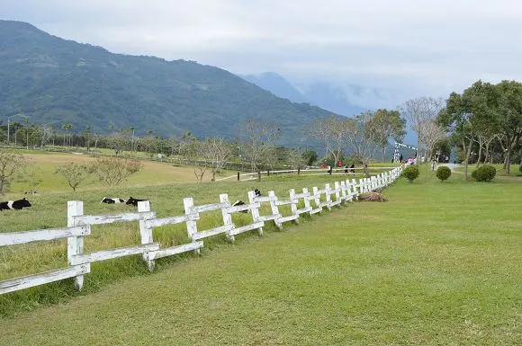 適合親子同遊的好地方，體驗餵牛吃草的樂趣~~初鹿牧場