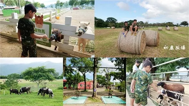 台東卑南親子景點 ▶ 初鹿牧場 ▶ 滑草、玩水、餵食動物、兒童遊樂設施、牧場鮮奶 親子玩樂好去處 初鹿牧場營業時間、門票!