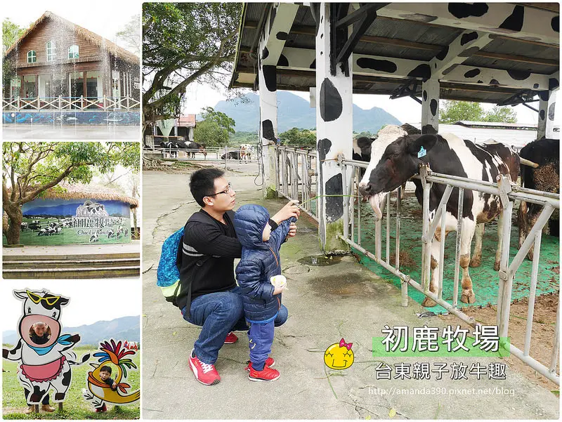 【台東景點】卑南鄉 初鹿牧場 ● 與荷蘭乳牛的近距離接觸 ● 親子台東踩點趣！❤❤