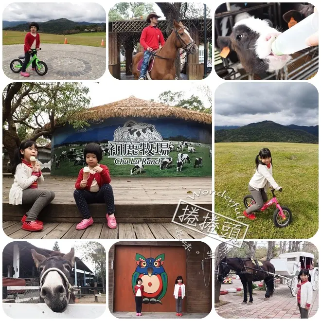 【台東鹿野親子景點】鹿野高台滑草 + 初鹿牧場