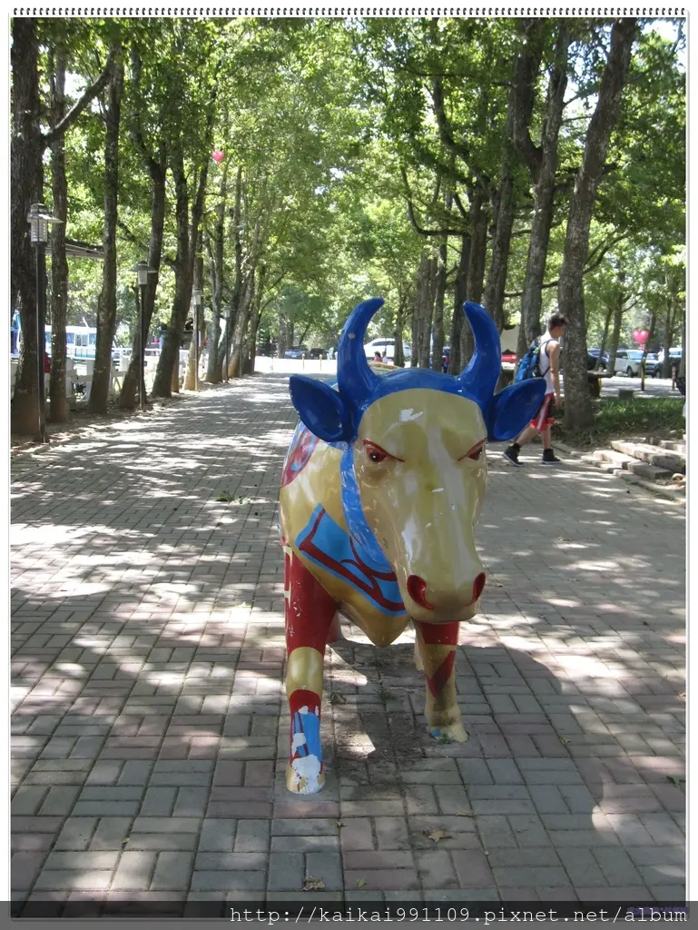 『台東旅遊+美食』台東親子必去景點初鹿牧場。。喝最新鮮的初鹿鮮奶@大自然山坡上看藍天白雲@炎熱夏天打水仗+台東必吃經典【米台目】!!