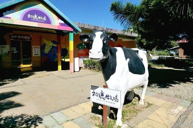 【初鹿牧場】與大自然最接近的牧場，遼闊大草原環境下飼養的荷蘭乳牛！有可愛動物區、放牧區、滑草場，來牛奶吧品嚐最新鮮好喝的鮮乳！