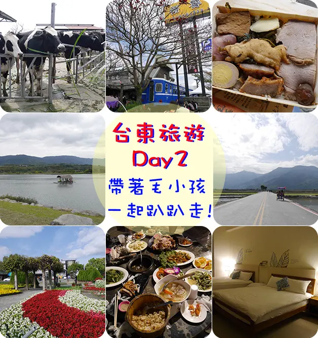 【台東景點】初鹿牧場、池上飯包文化故事館、大坡池、伯朗大道、池上鄉農會四季花海、原始部落山地美食、彩虹莊園民宿。東37縣道  台東旅遊 帶著寵物去旅行