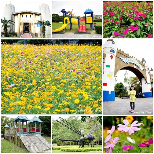 超浪漫波斯菊花海，還有童話城堡♥花蓮吉安知卡宣森林公園♥