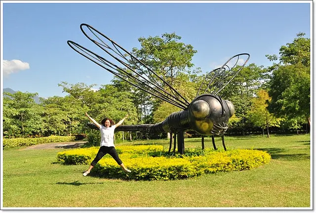 花蓮。知卡宣森林公園~如果有妥善的照顧保養會更好!
