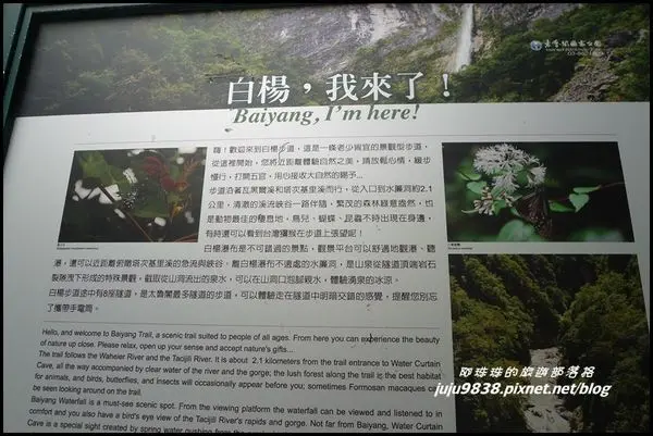 花蓮。穿越一個接一個隧道的白楊步道。水濂洞我來了