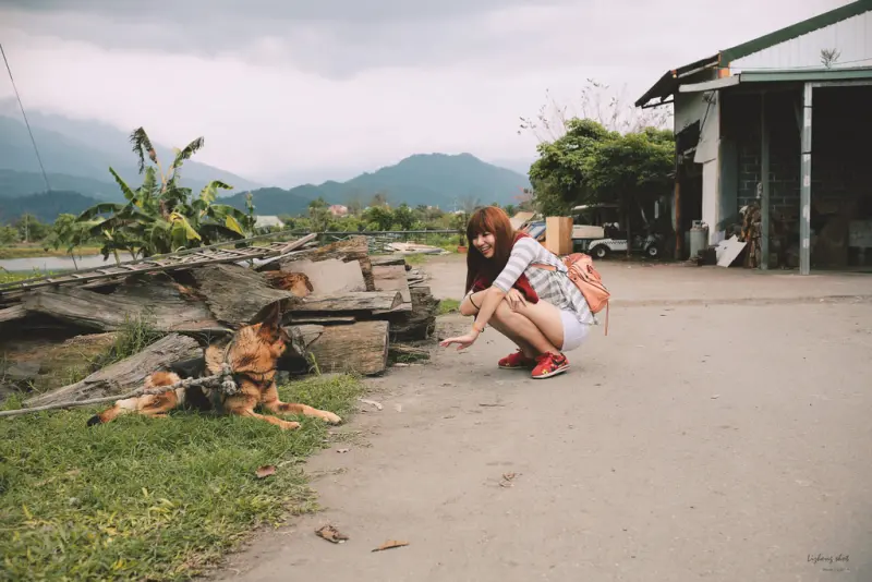 擁抱花蓮兩日的玩耍昏睡之旅/02 花蓮豐之谷的小小生態觀察記