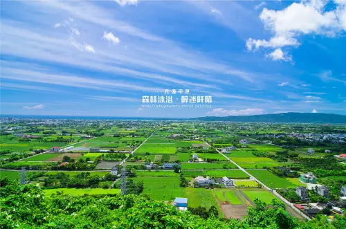 【花蓮景點】與太平洋下棋！！沐浴楓林步道，一覽阡陌縱橫田園美景