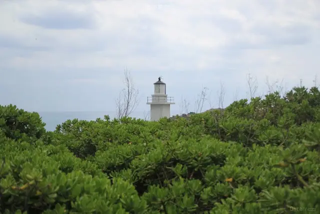 花蓮。新城。寧靜崖上的眺望 / 奇萊鼻燈塔
