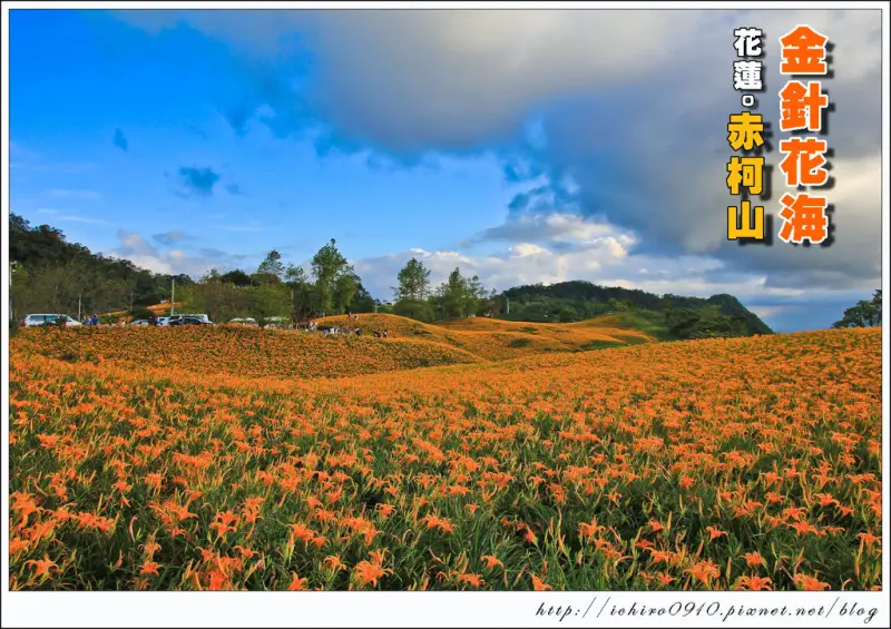 [遊記]【花蓮縣玉里鎮】2014。赤柯(科)山金針花海~俯瞰花東縱谷美景