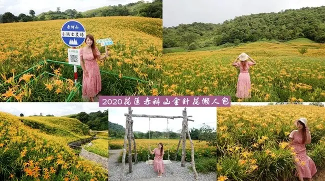 2020赤科山金針花季 ▶ 2020赤科山金針花懶人包 ▶ 赤科山哪家金針花農場花況最美?最好拍? 赤柯山六家農場一日輕旅行!