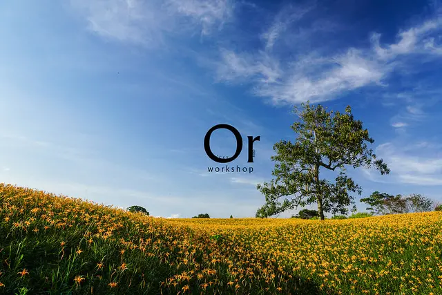 [花蓮] 像在金針秘境探險一般，山谷中找尋金針花，玉里鎮 - 赤科山（赤柯山）