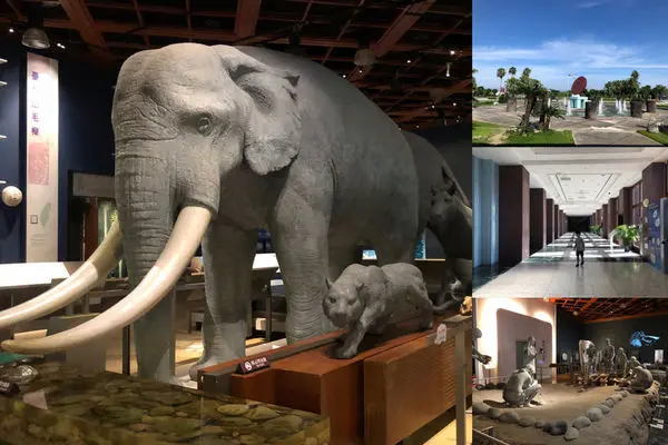 圓圓家出去玩-《台東景點》國立台灣史前文物博物館在台東，栩栩如生，穿越史前時代，帶孩子更加認識這片土地